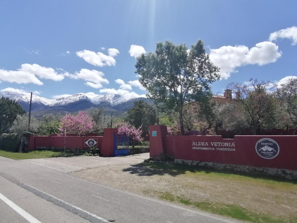 Complejo Aldea Vetonia Check Out Hasta Las 20H Parque De Mascotas Zonas Infantiles Ideal Grupos Parejas Familias Informate Apertura Piscina 1 De Mayo Hervas Bagian luar foto