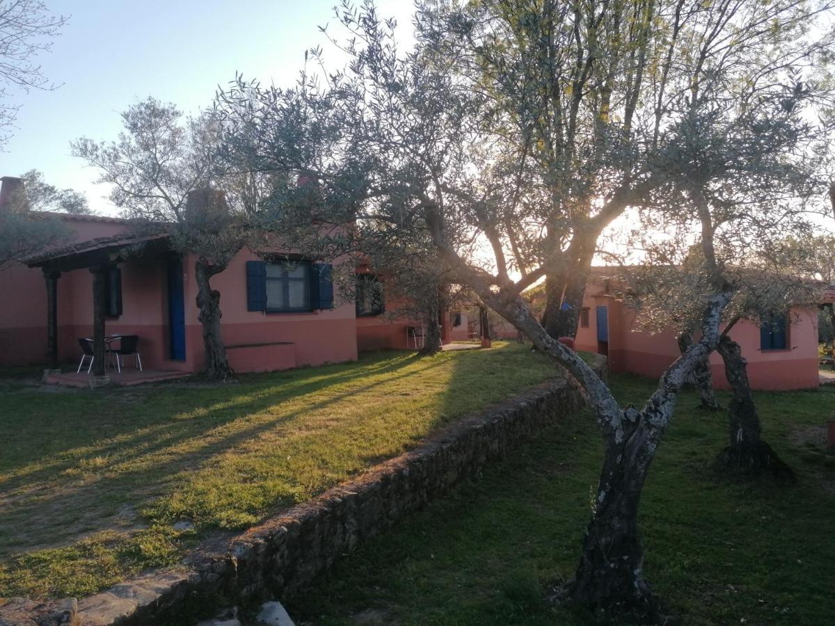 Complejo Aldea Vetonia Check Out Hasta Las 20H Parque De Mascotas Zonas Infantiles Ideal Grupos Parejas Familias Informate Apertura Piscina 1 De Mayo Hervas Bagian luar foto