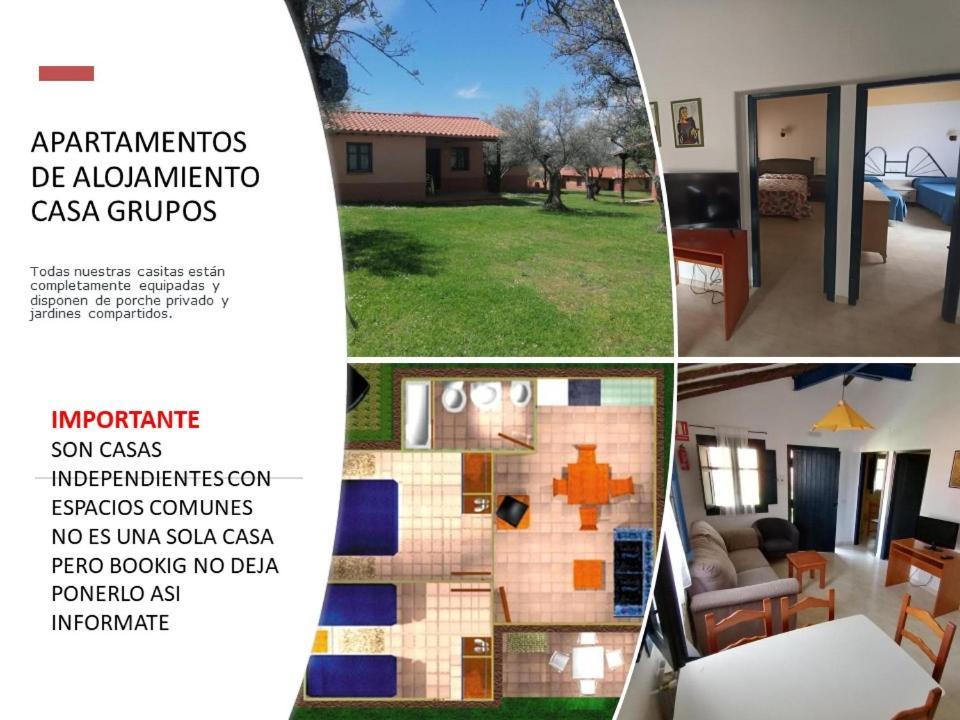 Complejo Aldea Vetonia Check Out Hasta Las 20H Parque De Mascotas Zonas Infantiles Ideal Grupos Parejas Familias Informate Apertura Piscina 1 De Mayo Hervas Bagian luar foto