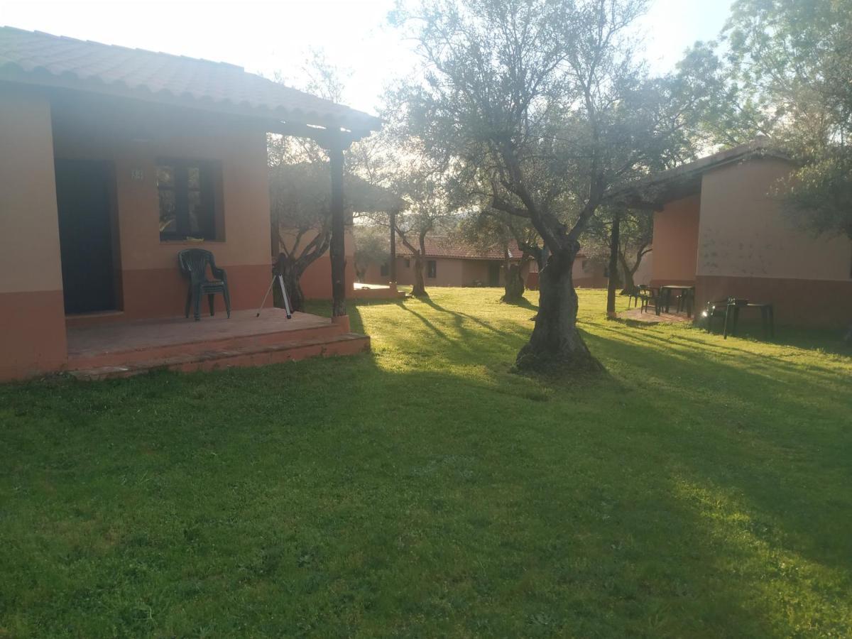 Complejo Aldea Vetonia Check Out Hasta Las 20H Parque De Mascotas Zonas Infantiles Ideal Grupos Parejas Familias Informate Apertura Piscina 1 De Mayo Hervas Bagian luar foto